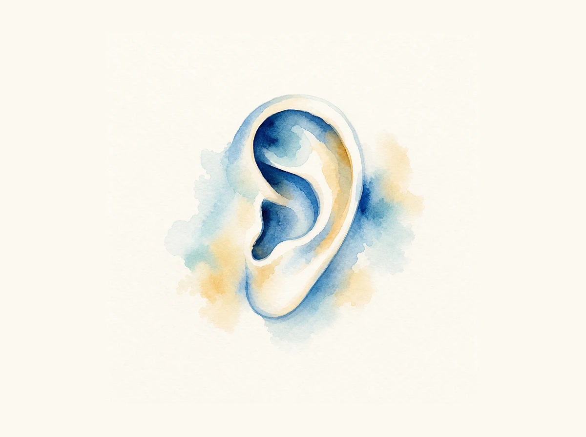 Aquarell-Illustration eines Ohres — Symbol für persönliches Zuhören
